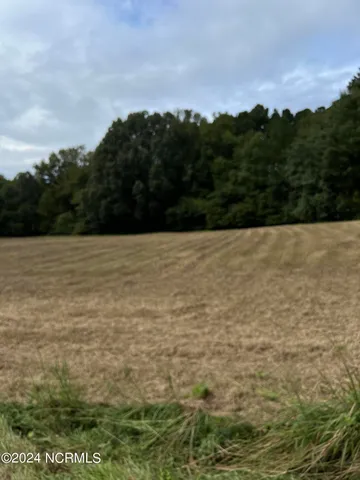 $112,000 | Lot 4 Hwy 264a Bailey Nc 27807, Bailey, NC 27807