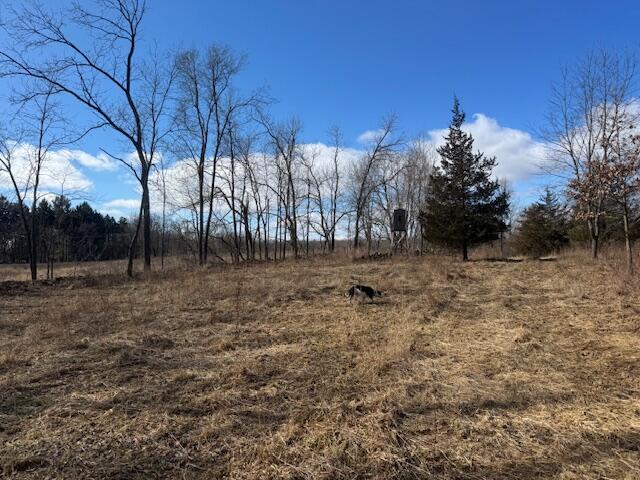 6011 Moore Road Tekonsha, MI 49092 - Photo 7 of 19 IMG_2499