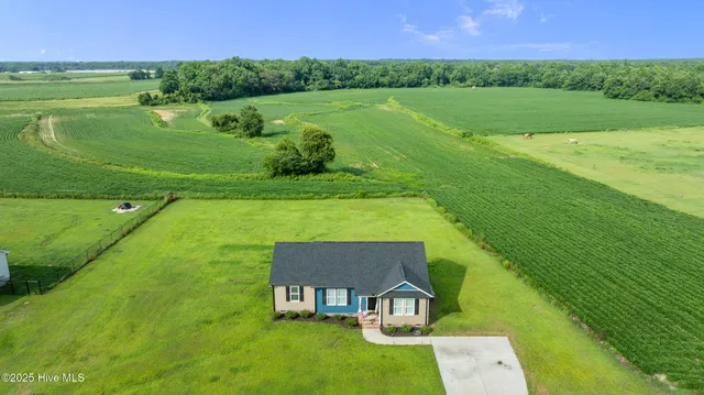 $254,300 | 115 Adds Road, Pikeville, NC 27863