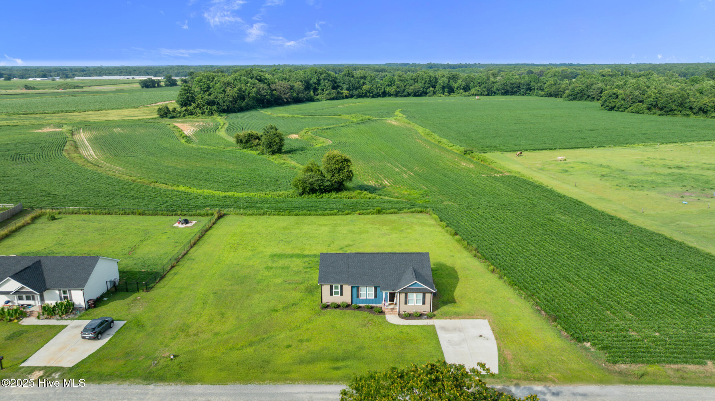 115 Adds Road Pikeville, NC 27863 - Photo 3 of 40 115 adds rd-pikevillenc-2