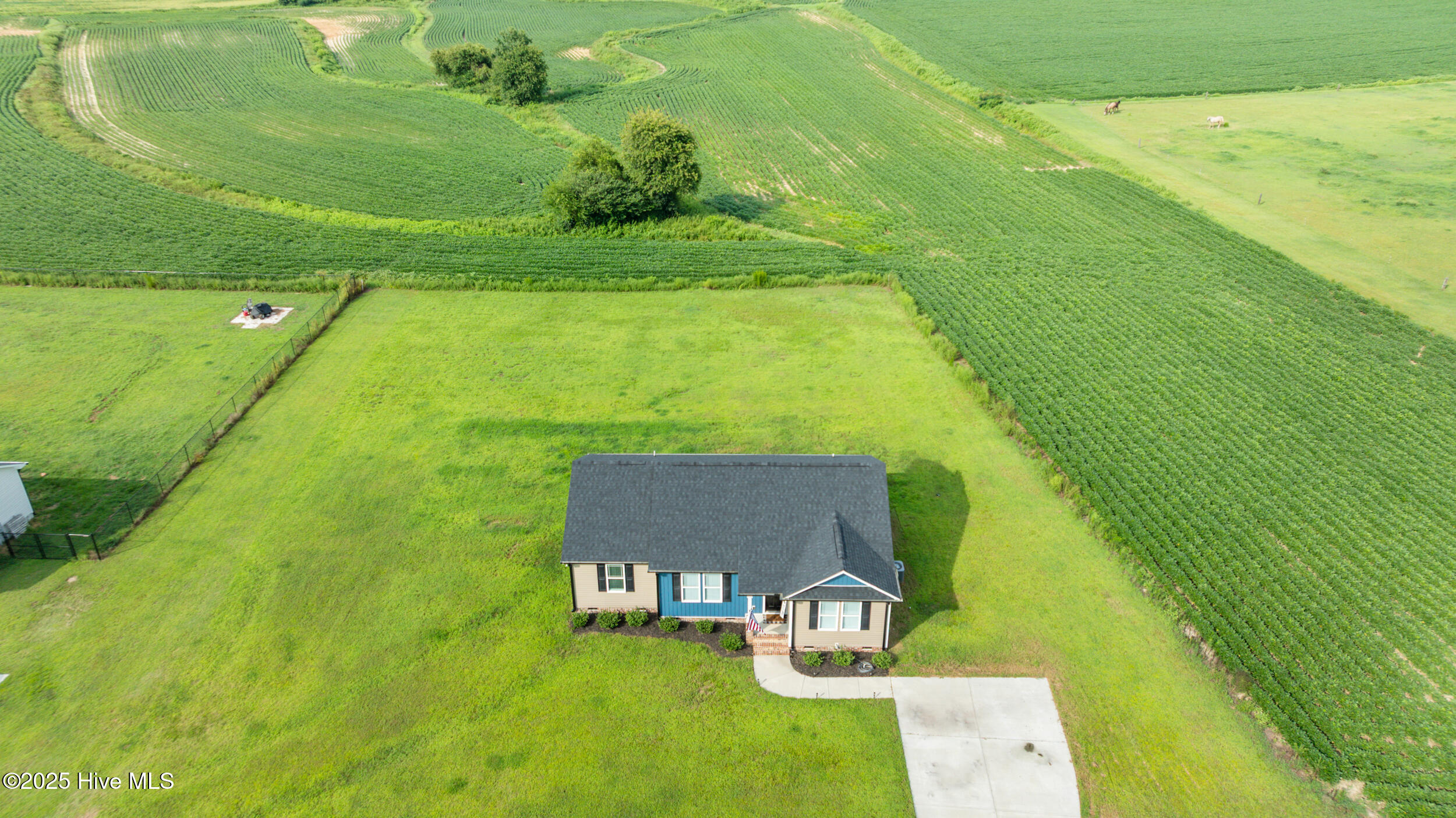 115 Adds Road Pikeville, NC 27863 - Photo 4 of 40 115 adds rd-pikevillenc-3