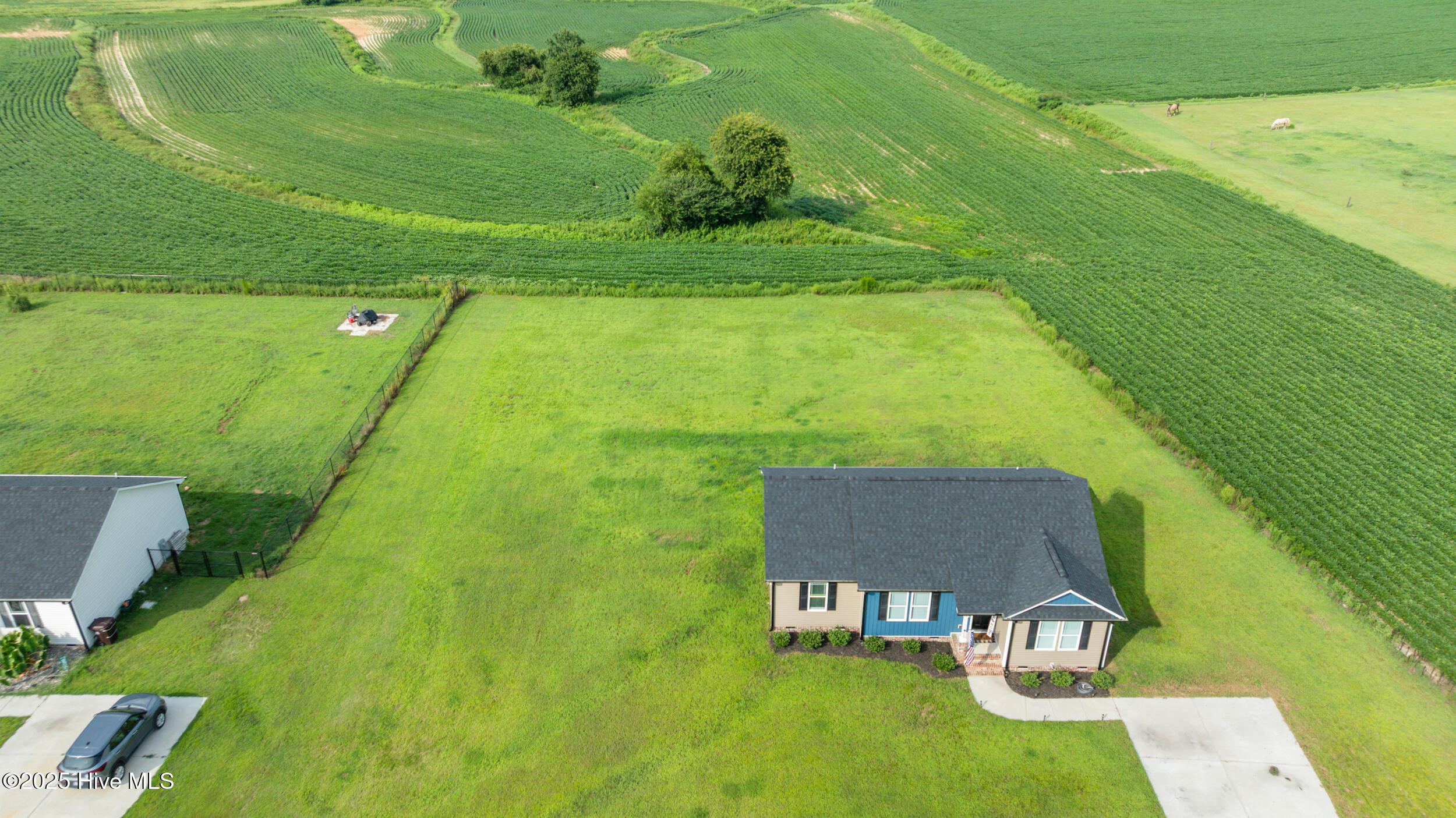 115 Adds Road Pikeville, NC 27863 - Photo 5 of 40 115 adds rd-pikevillenc-4