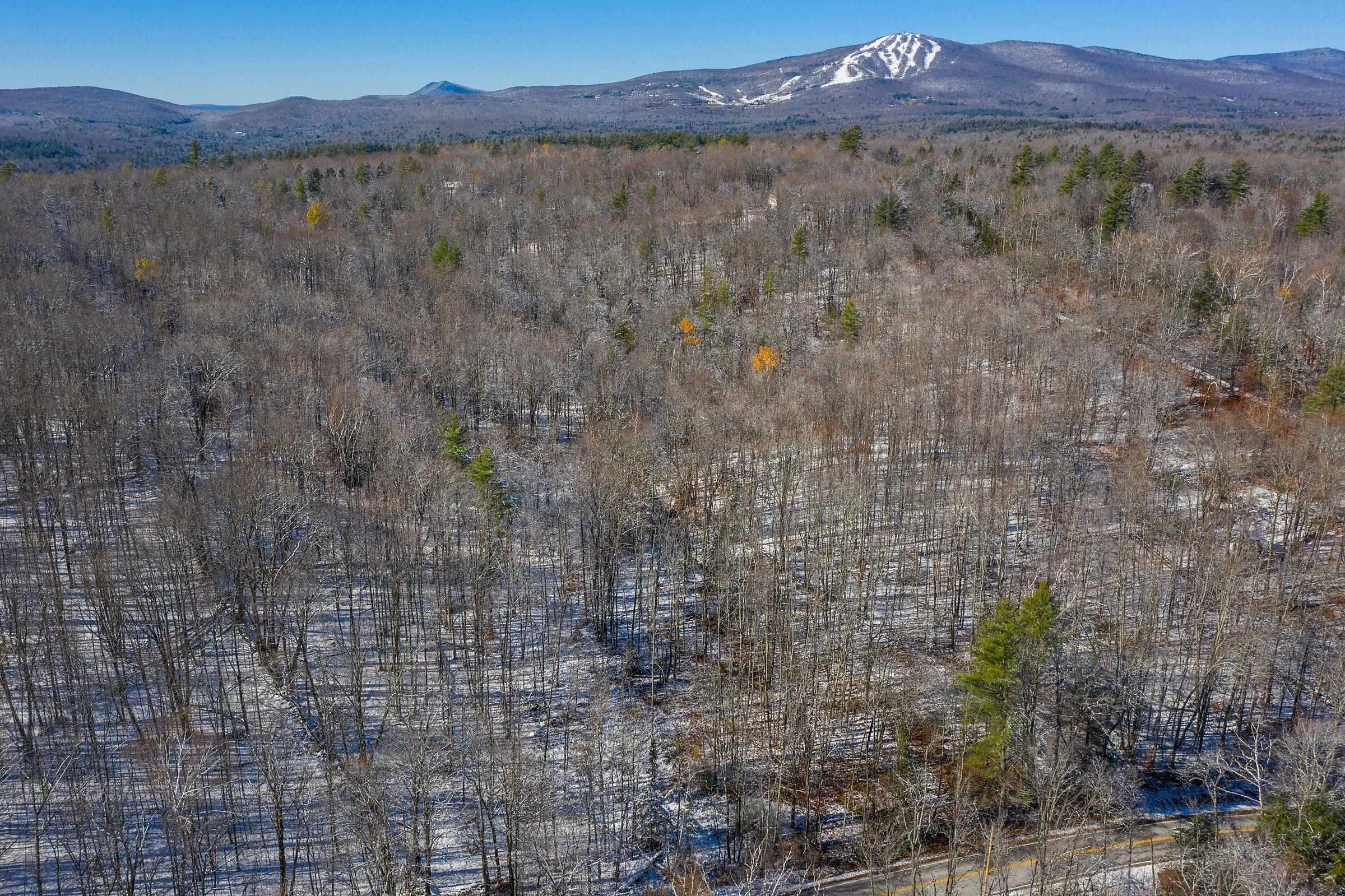 371-373 Winhall Hollow Road, Unit 1 Winhall, VT 05340 - Photo 2 of 17 Gallery Image 2