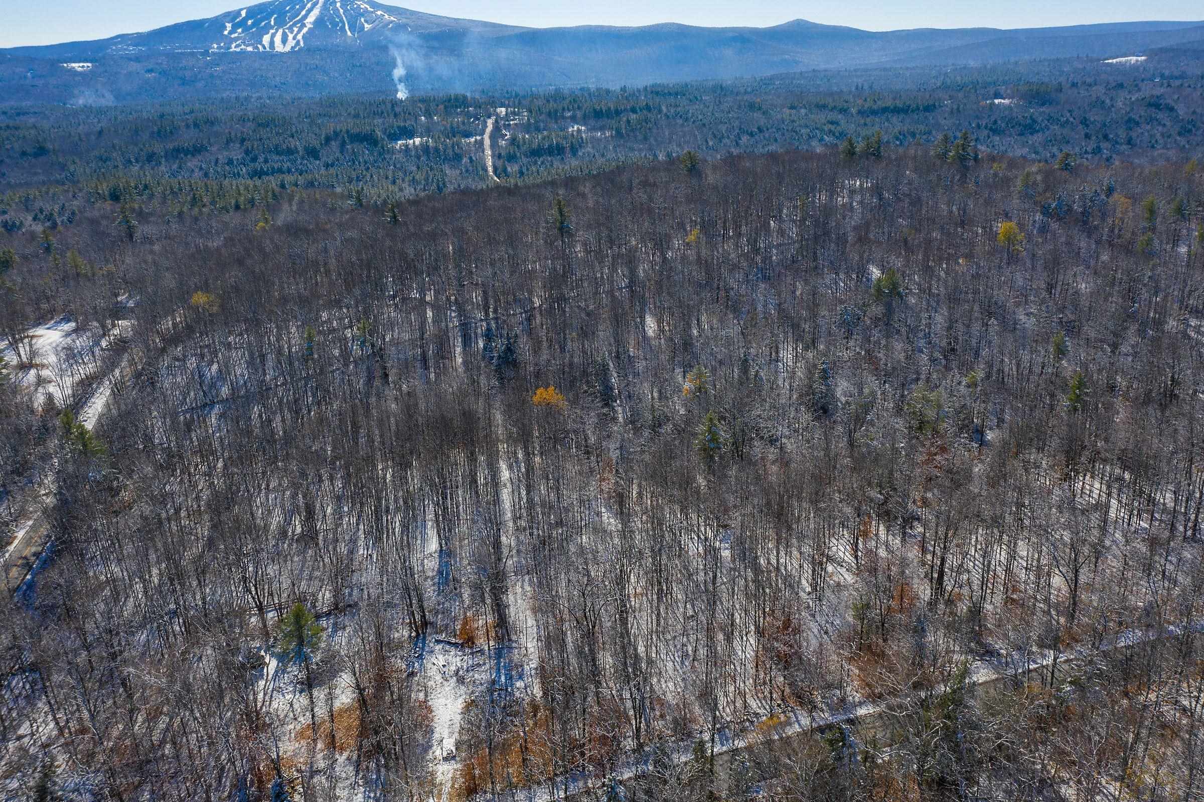 371-373 Winhall Hollow Road, Unit 1 Winhall, VT 05340 - Photo 11 of 17 Gallery Image 11