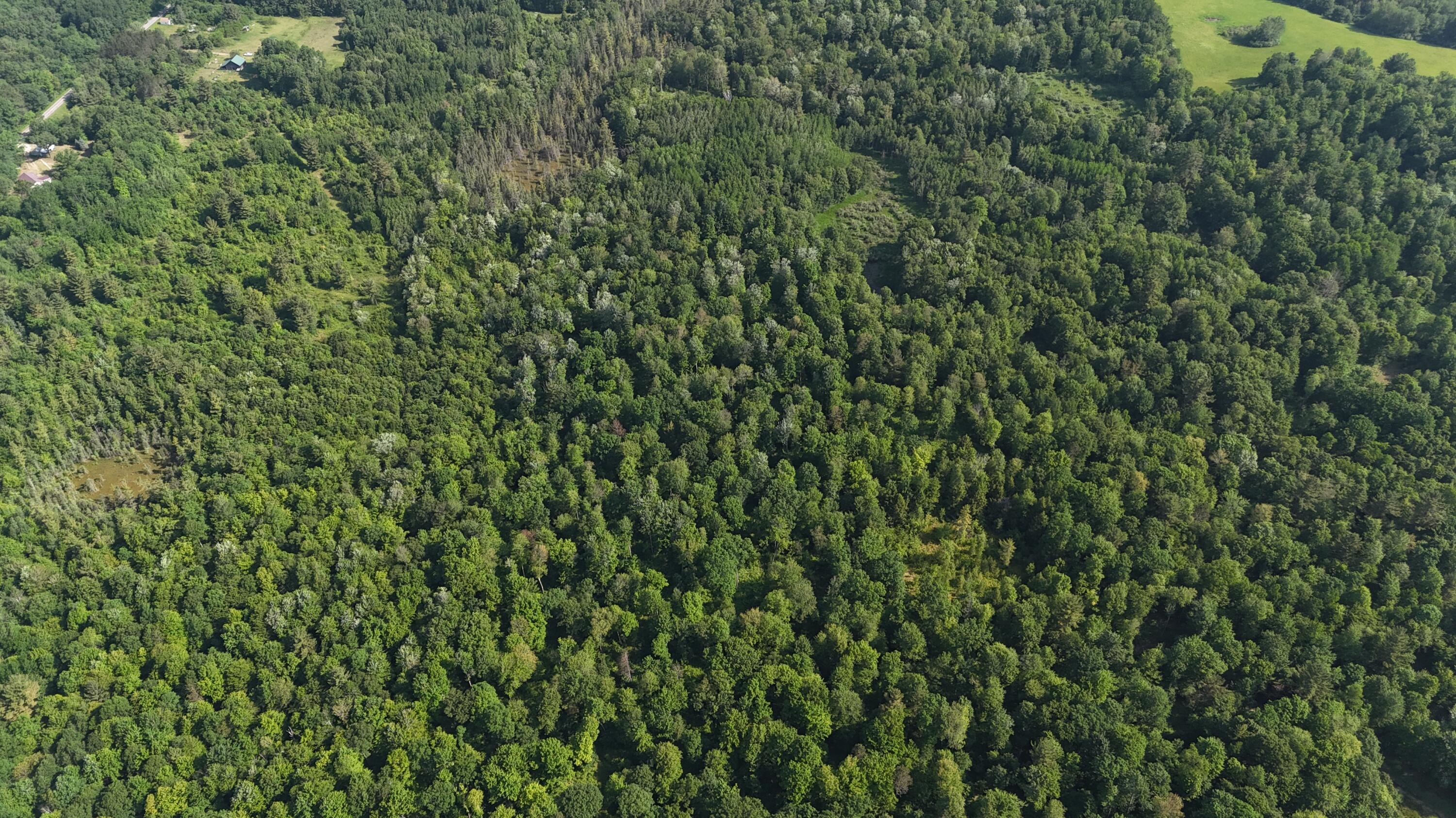 Dickson Road Brethren, MI 49619 - Photo 13 of 27 dji_fly_20250617_101012_0586_17501698425