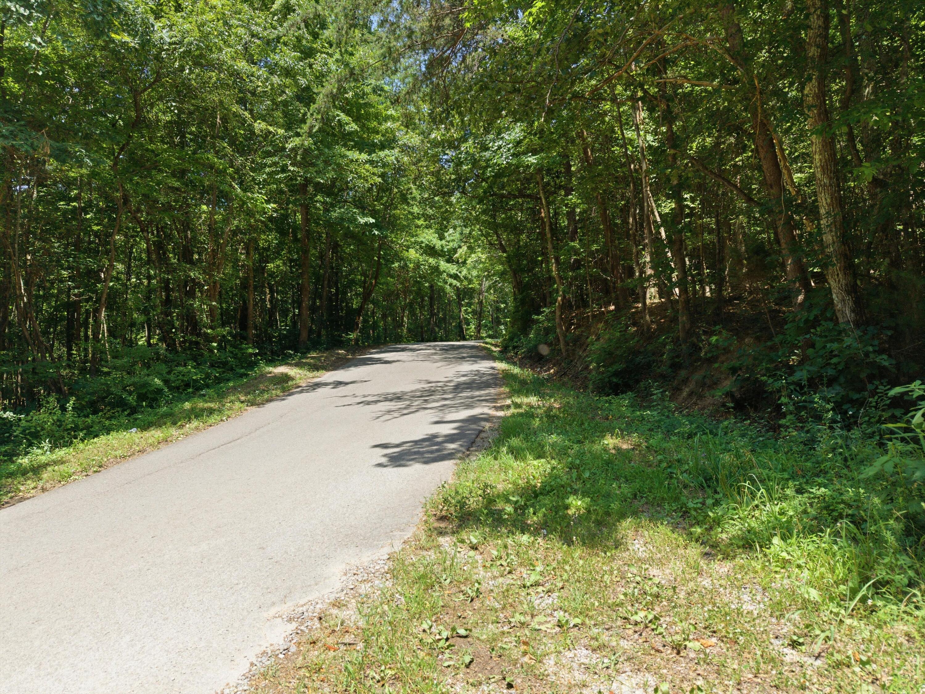 0 West Francis Spring Road Whitwell, TN 37397 - Photo 23 of 23 17-FrancisSpringRd-15