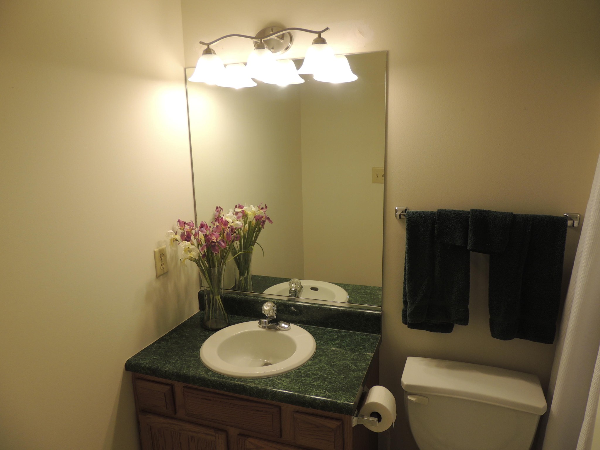 8047 Intervale Way, Unit 4 Powell, TN 37849 - Photo 11 of 17 Gallery Image 11