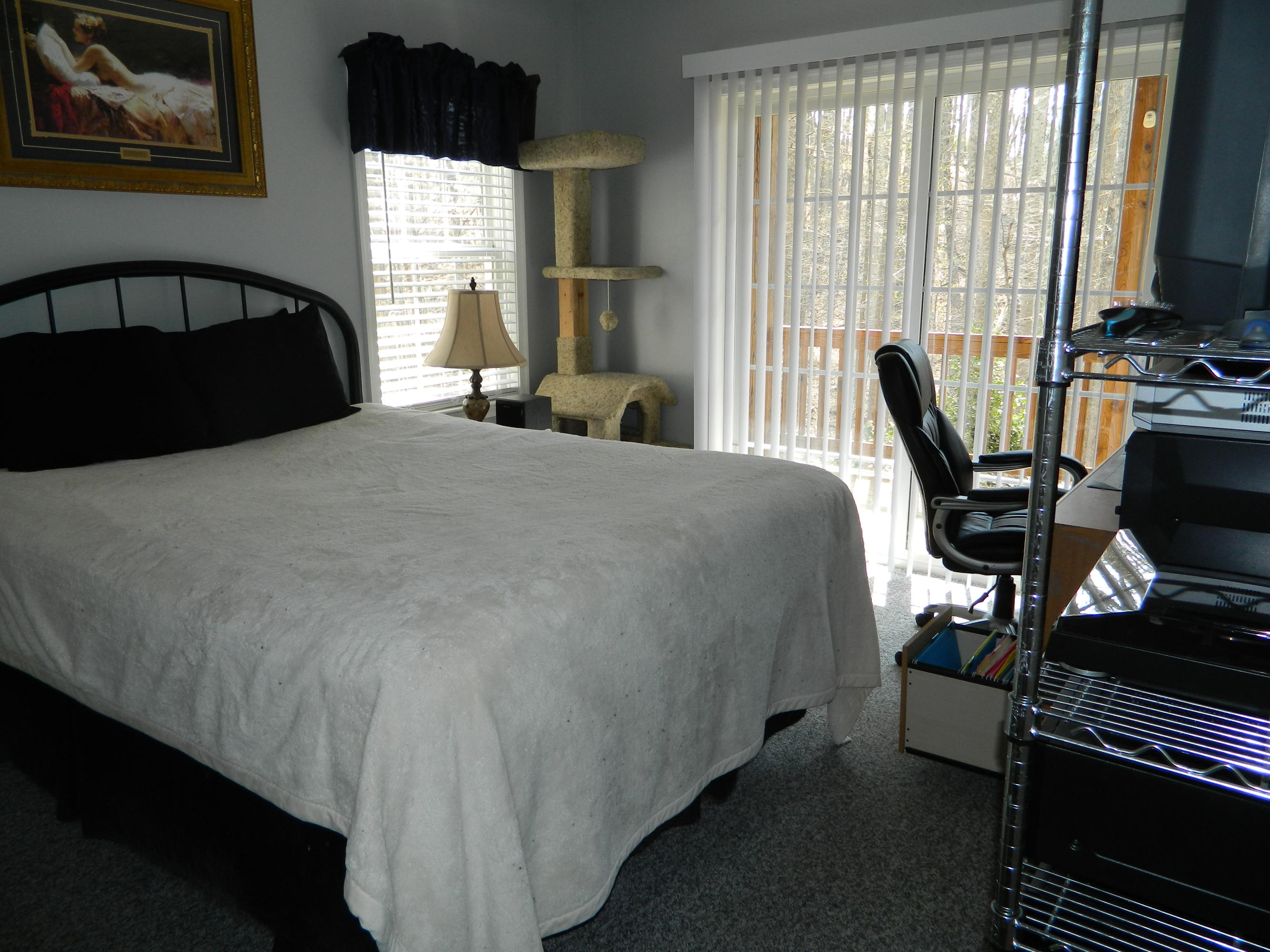 110 Woodley Road Moneta, VA 24121 - Photo 31 of 35 DSCN0559