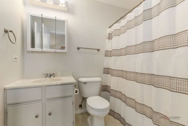 a bathroom with a sink toilet and vanity