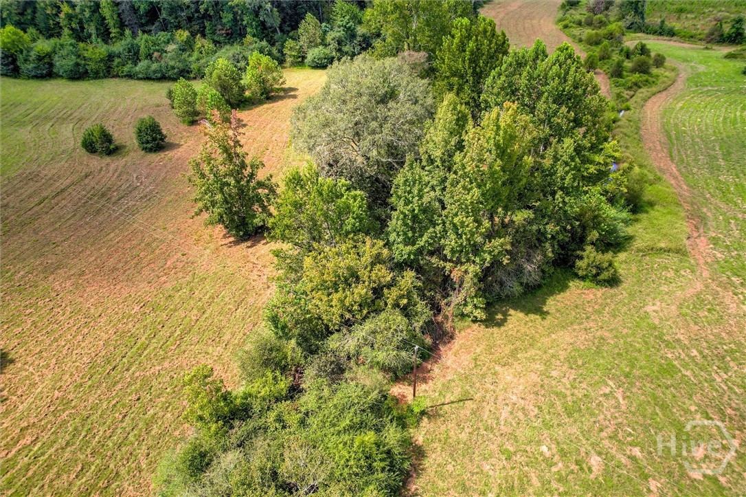 0 Southeast Sparta Road Southeast Crawfordville, GA 30631 - Photo 11 of 19