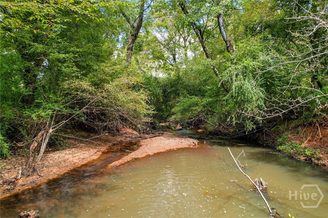 0 Southeast Sparta Road Southeast Crawfordville, GA 30631 - Photo 12 of 19