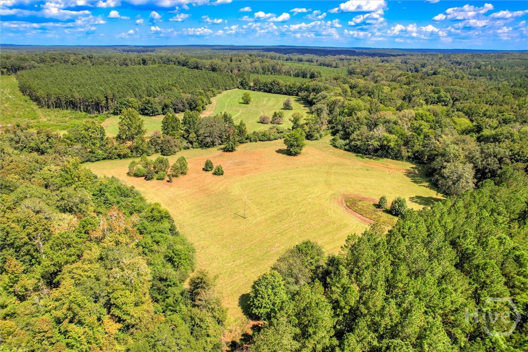 0 Southeast Sparta Road Southeast Crawfordville, GA 30631 - Photo 13 of 19