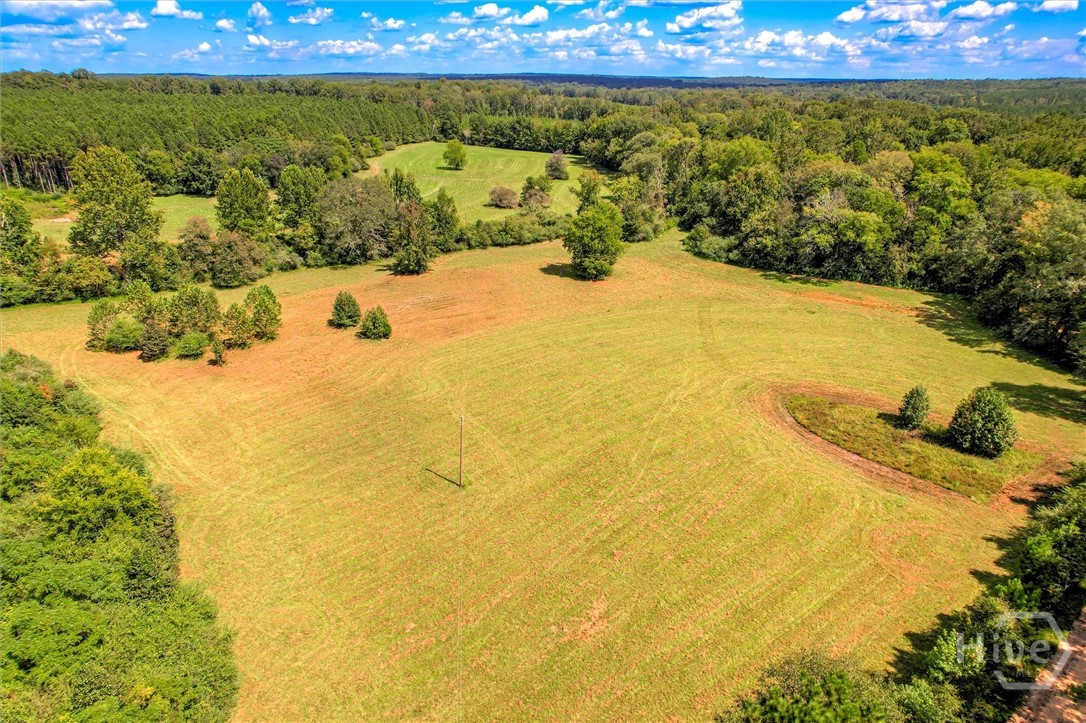 0 Southeast Sparta Road Southeast Crawfordville, GA 30631 - Photo 14 of 19