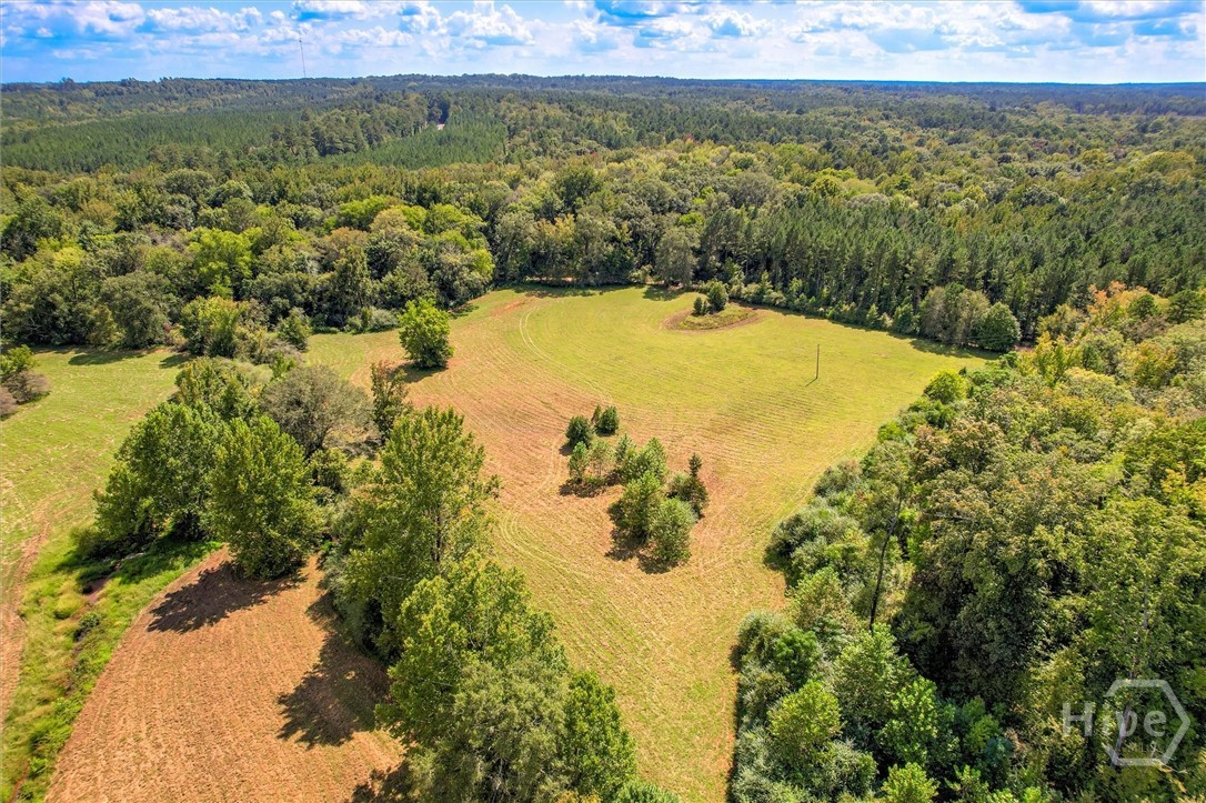 0 Southeast Sparta Road Southeast Crawfordville, GA 30631 - Photo 16 of 19