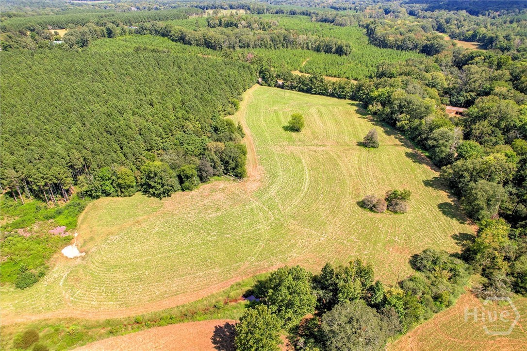 0 Southeast Sparta Road Southeast Crawfordville, GA 30631 - Photo 17 of 19