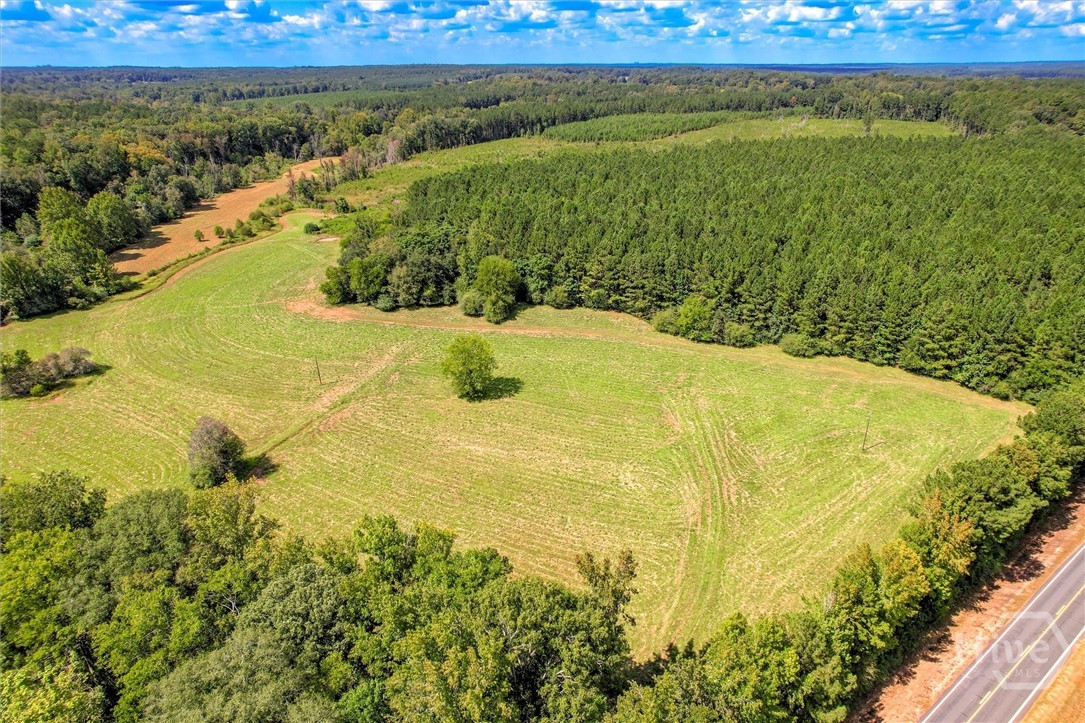 0 Southeast Sparta Road Southeast Crawfordville, GA 30631 - Photo 19 of 19