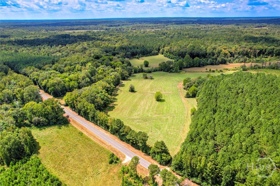 0 Southeast Sparta Road Southeast Crawfordville, GA 30631 - Photo 2 of 19