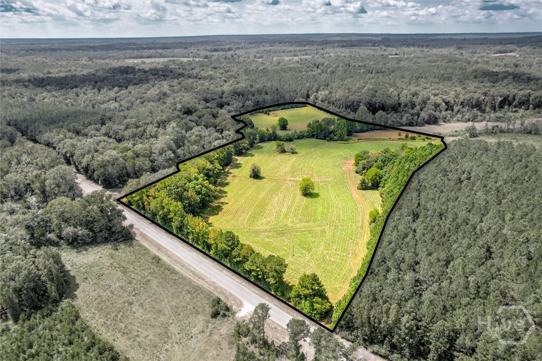 0 Southeast Sparta Road Southeast Crawfordville, GA 30631 - Photo 3 of 19