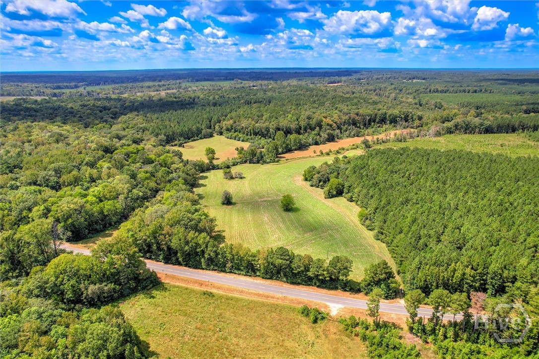 0 Southeast Sparta Road Southeast Crawfordville, GA 30631 - Photo 4 of 19