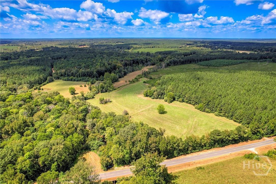 0 Southeast Sparta Road Southeast Crawfordville, GA 30631 - Photo 7 of 19