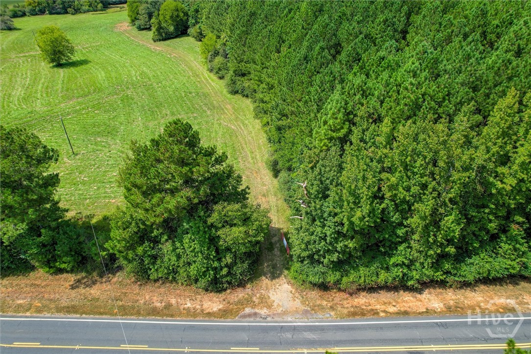0 Southeast Sparta Road Southeast Crawfordville, GA 30631 - Photo 8 of 19