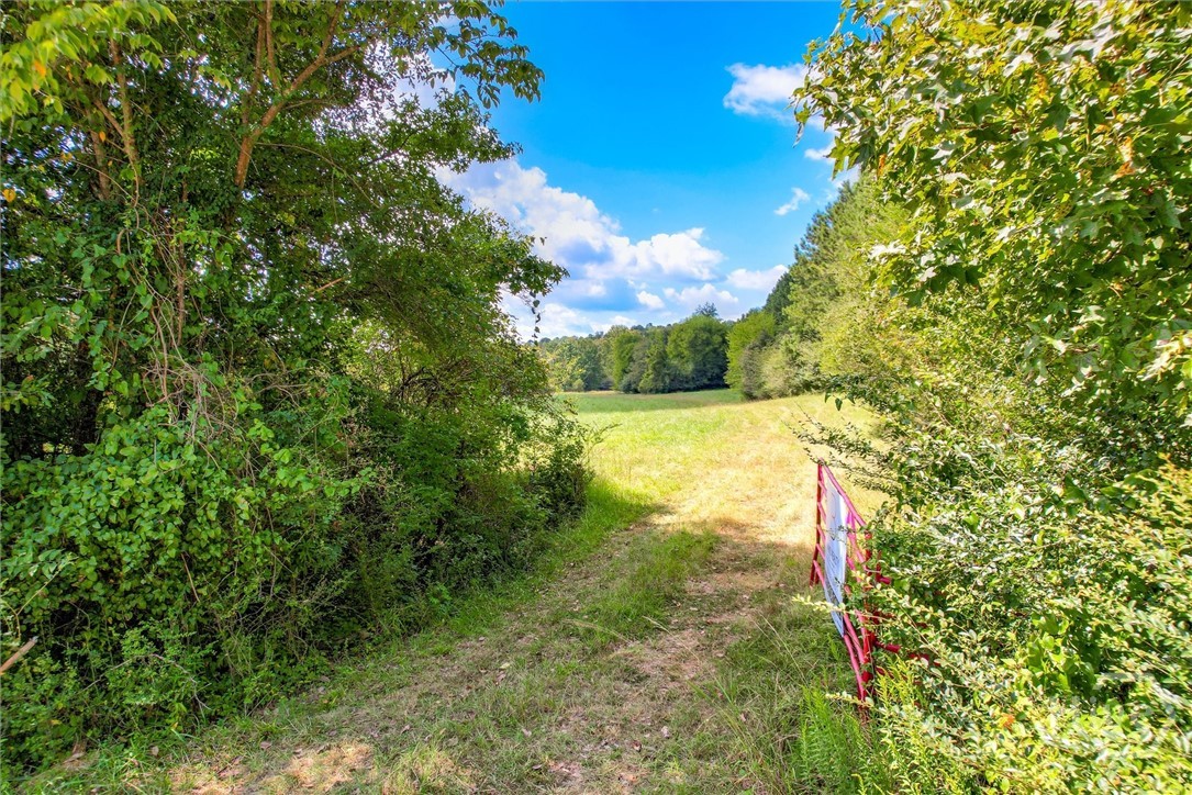 0 Southeast Sparta Road Southeast Crawfordville, GA 30631 - Photo 9 of 19