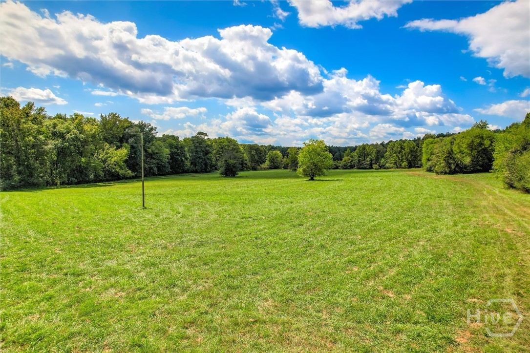 0 Southeast Sparta Road Southeast Crawfordville, GA 30631 - Photo 10 of 19