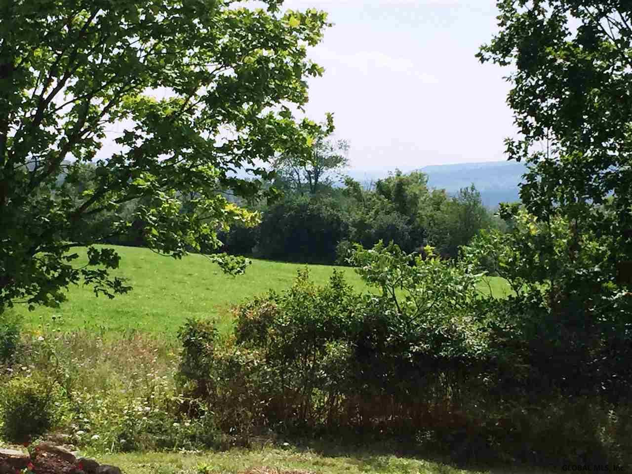 133 Peck Road Florida, NY 12053 - Photo 8 of 20 Backyard View