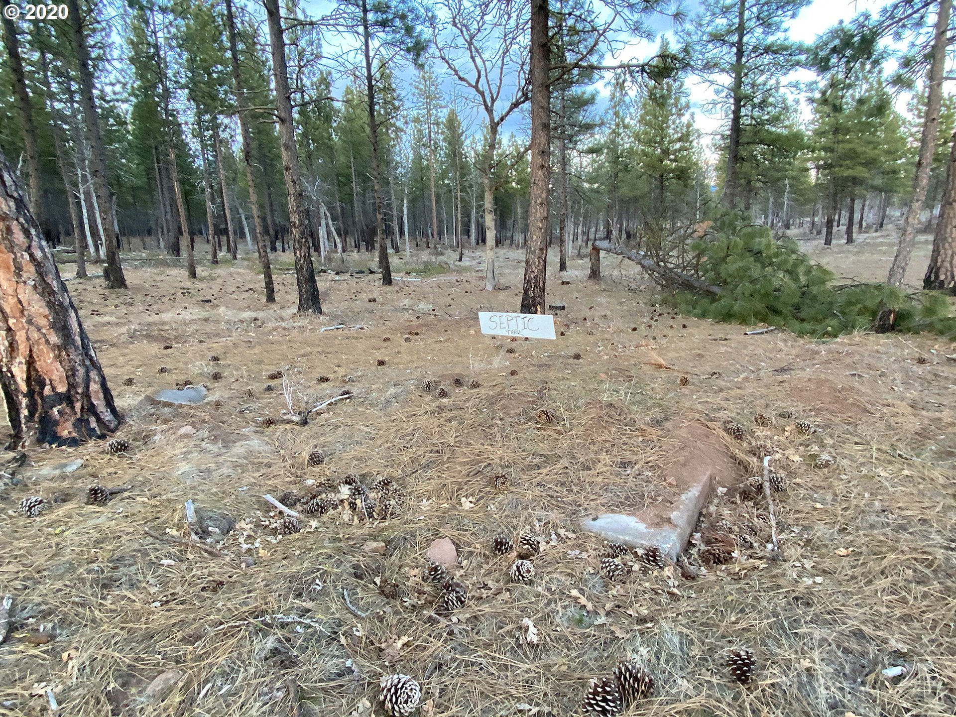 442 Old Stage Road Goldendale, WA 98620 - Photo 17 of 31 Gallery Image 17