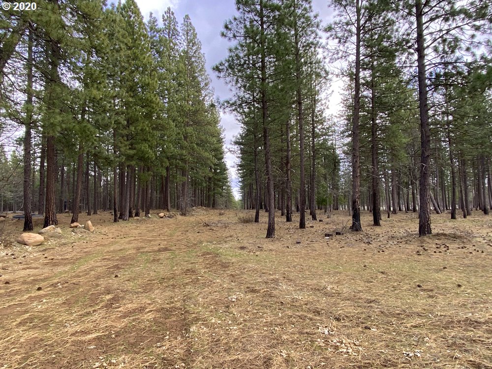 442 Old Stage Road Goldendale, WA 98620 - Photo 28 of 31 Gallery Image 28