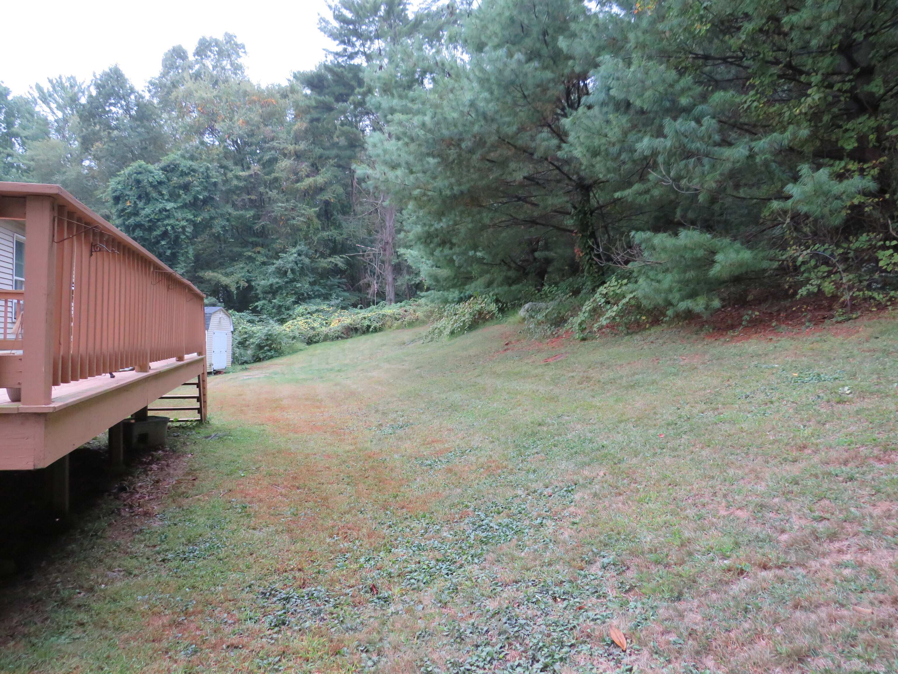 15 Hayestown Heights Danbury, CT 06811 - Photo 18 of 28 a view of a yard with large trees
