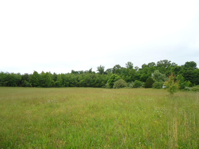 5.03-ac West Cole Road Doyle, TN 38559 - Photo 1 of 19 01 USE AS MAIN