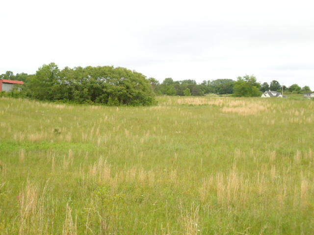 5.03-ac West Cole Road Doyle, TN 38559 - Photo 11 of 19 11