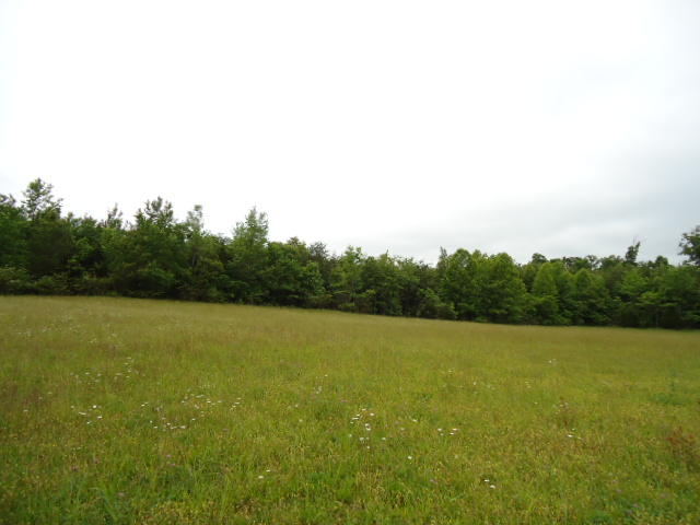 5.03-ac West Cole Road Doyle, TN 38559 - Photo 12 of 19 12