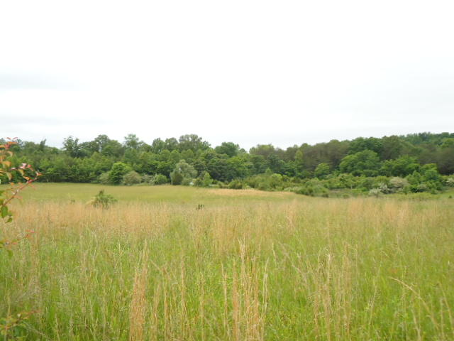 5.03-ac West Cole Road Doyle, TN 38559 - Photo 13 of 19 13