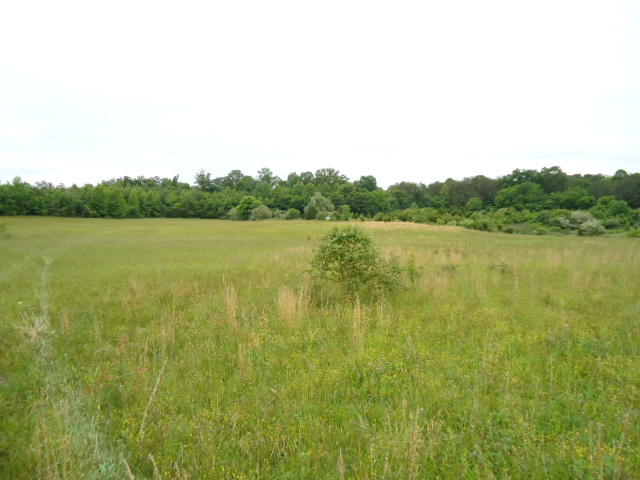 5.03-ac West Cole Road Doyle, TN 38559 - Photo 14 of 19 14