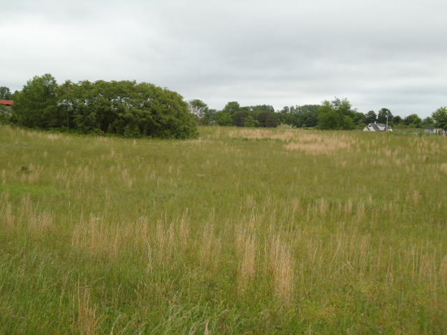 5.03-ac West Cole Road Doyle, TN 38559 - Photo 15 of 19 15