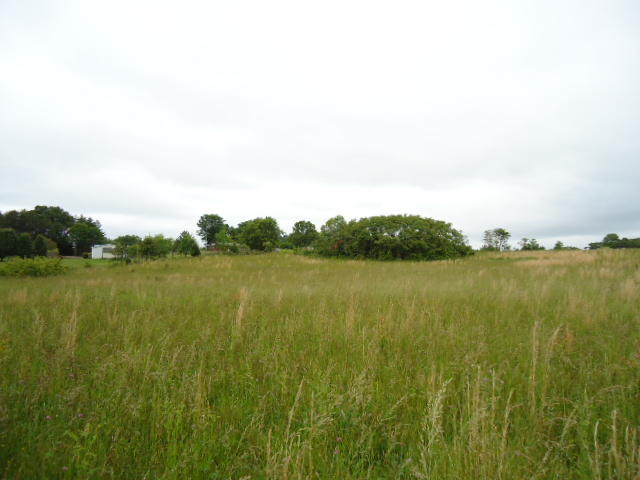 5.03-ac West Cole Road Doyle, TN 38559 - Photo 16 of 19 16