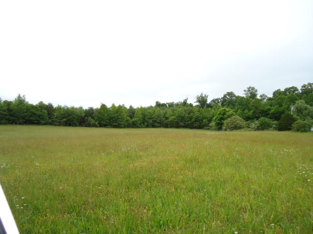5.03-ac West Cole Road Doyle, TN 38559 - Photo 17 of 19 17