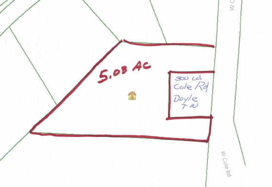 5.03-ac West Cole Road Doyle, TN 38559 - Photo 19 of 19 31 Plat Map