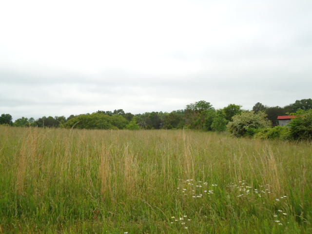 5.03-ac West Cole Road Doyle, TN 38559 - Photo 7 of 19 07