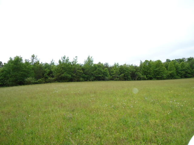 5.03-ac West Cole Road Doyle, TN 38559 - Photo 8 of 19 08