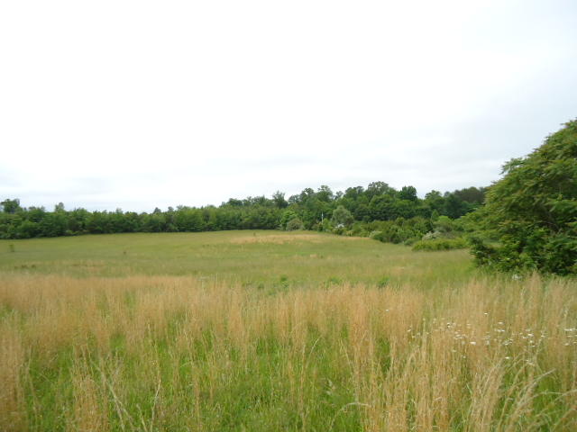 5.03-ac West Cole Road Doyle, TN 38559 - Photo 9 of 19 09