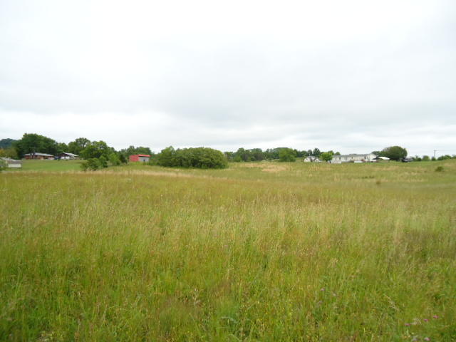 5.03-ac West Cole Road Doyle, TN 38559 - Photo 10 of 19 10