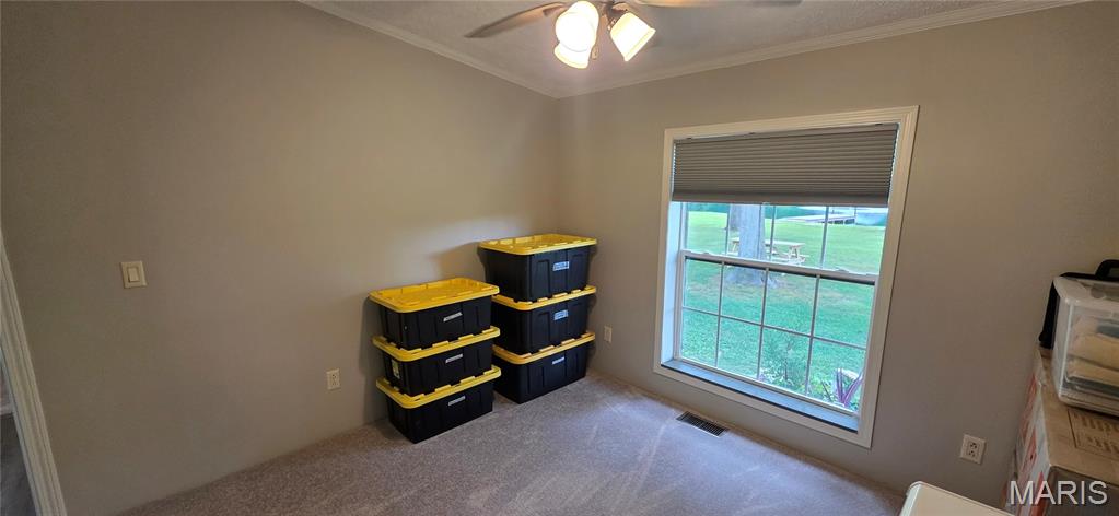 18371 Perry Road Pittsburg, IL 62974 - Photo 41 of 61