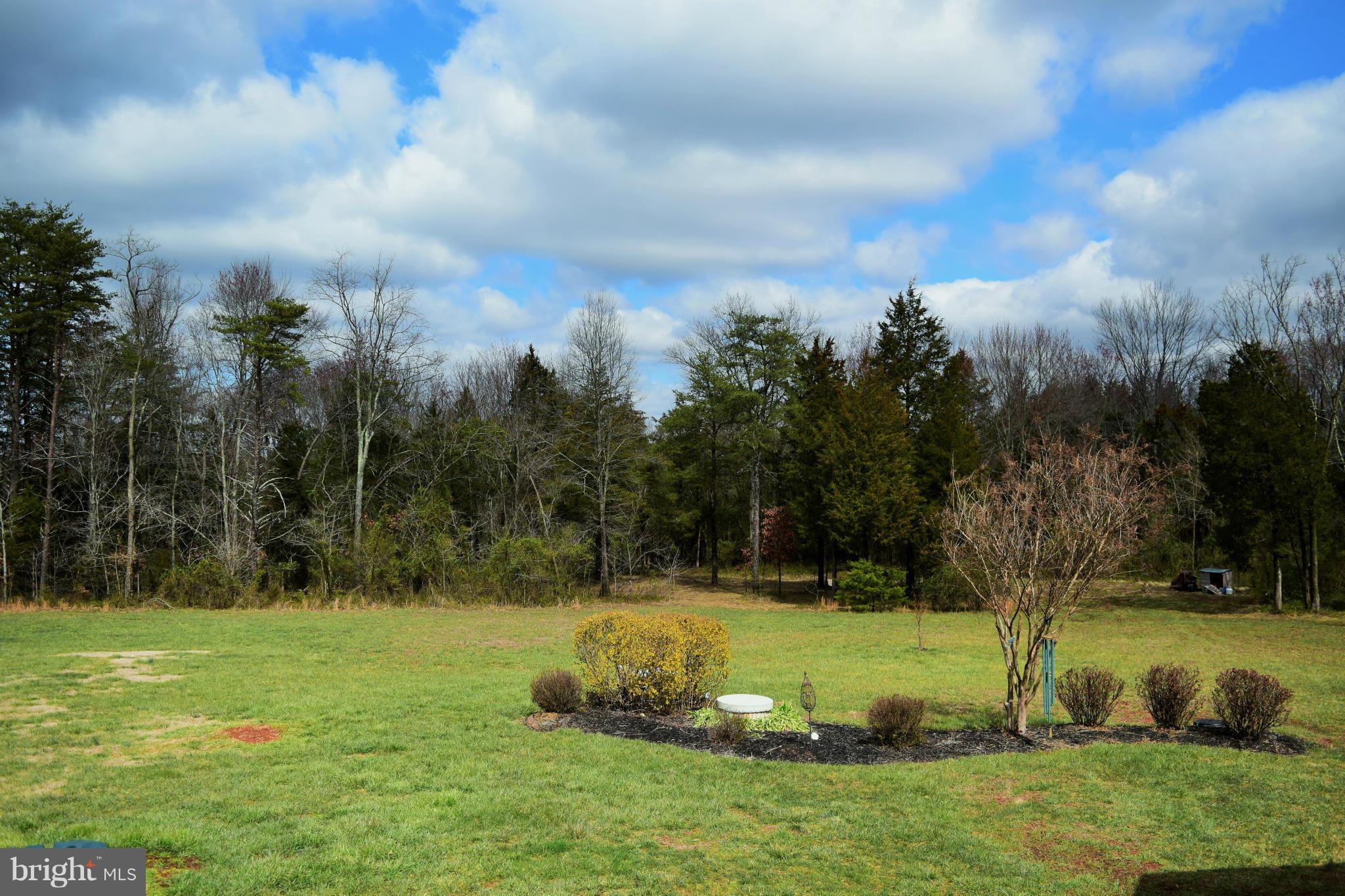 10476 Short Cut Road Catlett, VA 20119 - Photo 29 of 30 Exterior (Rear)