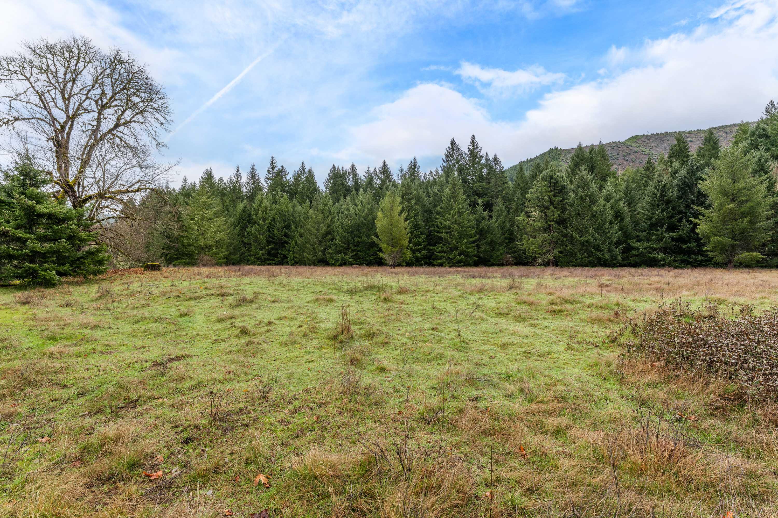 0 Upper Cow Creek Road Azalea, OR 97410 - Photo 12 of 28 EXT2 (5 of 19)