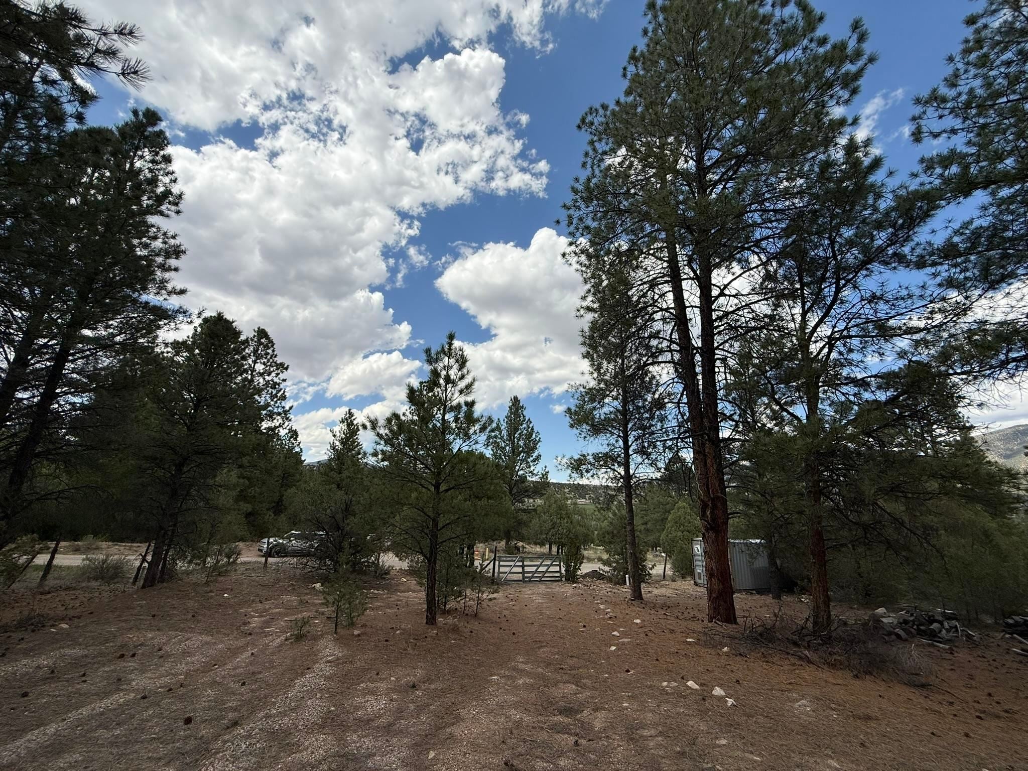 2318 Old Red River Road, Unit B Questa, NM 87556 - Photo 34 of 35 Gallery Image 34