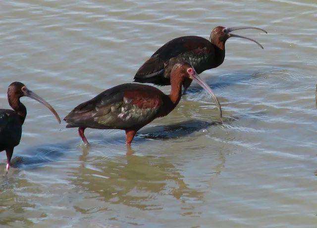 a view of a wooden floor