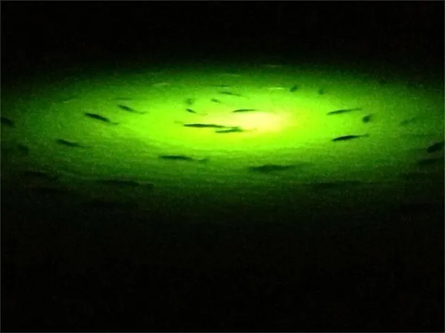 a green field with trees in the background
